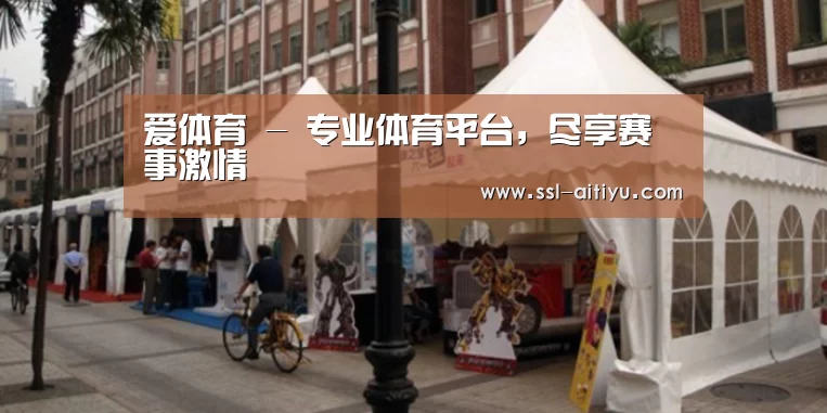 案例标题九