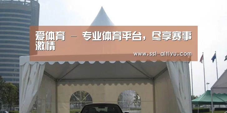 案例标题八