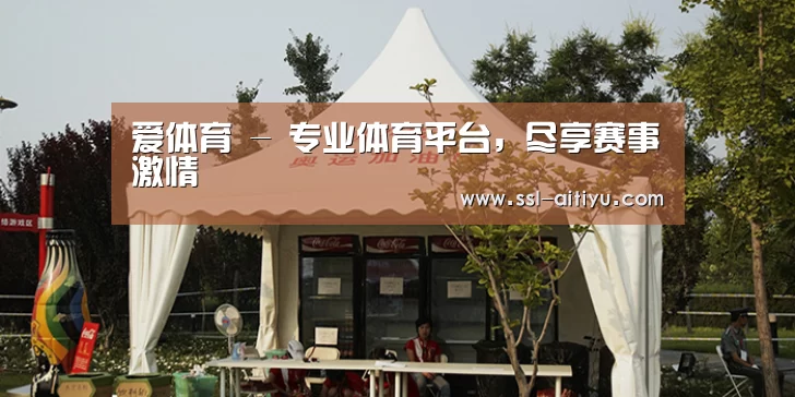 案例标题五