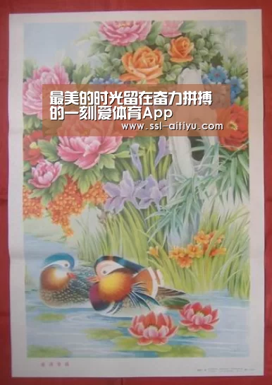 爱体育